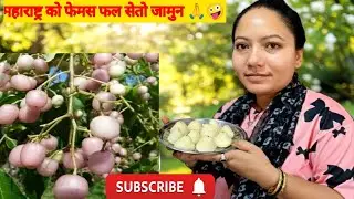 महाराष्ट्र को फेमस फल सेतो जामुन 🙏🤪#Durga lifestyle daily Vlogs