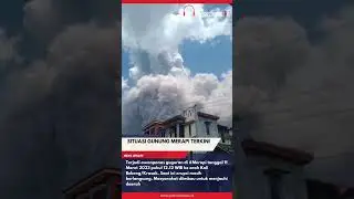 #gunung #merapi #siaga #podcastnews