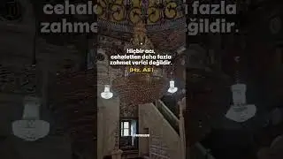 &ldquo;Hi&ccedil;bir acı, cehaletten daha fazla zahmet verici değildir.&rdquo; &mdash; Hz. Ali #shorts