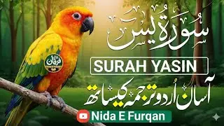 Surah Yaseen: The Heart of the Quran (Urdu Translation)