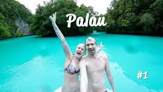 Palau - Ankunft, Roomtour und der Quallensee