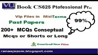 CS625 &ndash; Professional Practices | Midterm Preparation 2025 | Complete cs625 midterm preparation