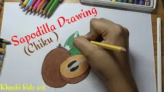 How to draw sapodilla fruit | Chiku drawing | Sapodilla drawing for kids