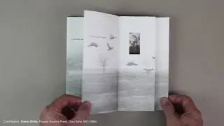 Carol Barton: 'Vision Shift' (1998)