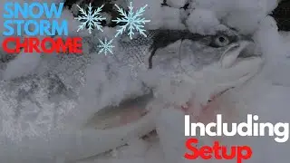 Plunking For WINTER STEELHEAD In The SNOW | Including HOW-TO |