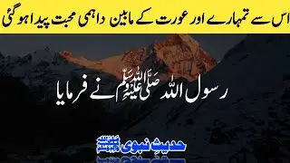 This created a lasting love between you and the woman |  HADITH E NABVIﷺ