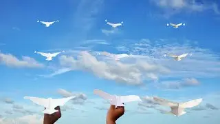 3 easy and unique bird shape paper planes #papercrafts #paperplane #origami #marriagecentre 