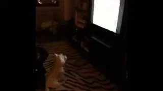 Mamie loves TV- Giswold