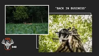 Episode #40: Velvet Bucks and 2021 Whitetail Goals