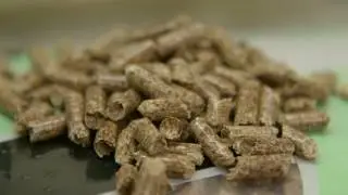 Energy Pellets Moerdijk item Doe Maar Duurzaam! RTL7 S04E04 8 mei 2016