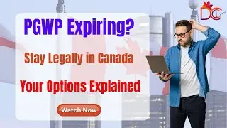 PGWP Expiring Soon? Your Options Explained!