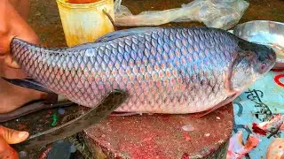 🔥😱 Amazing Fish Cutting Skills | Giant Kolkata Bhetki Fish Cutting By Expert Cutter #viralvideos​ 