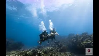 Dreaming of Scuba Diving Key Largo Florida - Silent World Dive Center