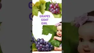 Alphabet Letter G for grapes 🍇 English for Kids #learnwithfun #colouring #aphabet #colors 😊😊