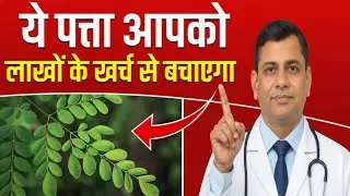 पत्ता नही खरा सोना है ये - 1 पत्ता ही काफी है | Moringa Leaves Benefits | Sahjan ke fayde 