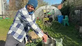 Community Garden Week at Squash