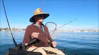 San Diego Bay, 2026 02 01