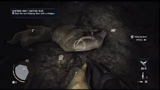 Far Cry 3 - Locations Of Undying Bear Skin 4 Ultimate Loot
