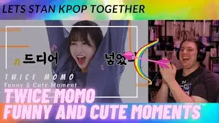 TWICE Momo - Funny & Cute Moments | REACTION | WE ARE ALL DOWN BAD FOR MOMO 24/7