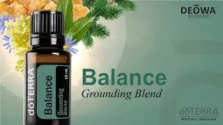 doTERRA Balance Essential Oil-DEOWA Academy Group