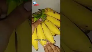 ஏலக்கி ல இவ்வளவு இருக்கா #shorts #ytshorts #trending #bananabenefits #tips#AvanVika's World
