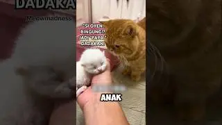 &laquo;Ойен в шоке! Он вернулся домой как отец?&raquo; 😅 #смешно #шорты