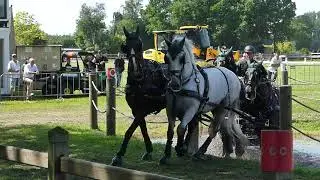 NESVACIL Radek, CZE, DVI Valkenswaard, CAIO4# H4, Marathon Ob8, 01 06 2019