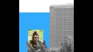 HVAC, Energy or Bigfoot ... What shall it be?
