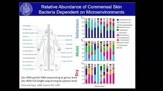 20200813 Dr. Hata, UCSD Grand Rounds The Microbiome of the Skin and the Defects in Atopic Dermatitis