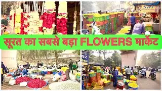 सूरत का सबसे बड़ा “WHOLESALE” FLOWER MARKET || BIGGEST FLOWER MARKET IN SURAT ||#pkvloggerbaba #vlog