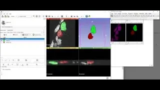3D Slicer for annotating microscopy data