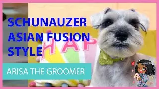 SPA DAY MAKEOVER! Schnauzer Puppy Gets Groomed in a Cute Pet Style