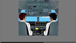 2 Secondary Flight Controls   LE Devices TE Flaps