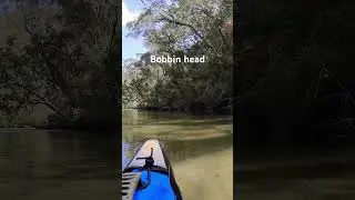 Back to Bobbin head this week for the northern part of the river #kayak #kayaklife #advancedelements
