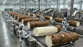 Inside the Factory: Giant Cassava Flour Production in the USA (Step-by-Step Process)