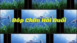 B&oacute;p chim hồi đuối (Kuutio)