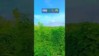 town dhaunra tanda district bareilly