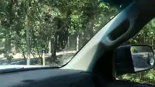 Shepard State Park - Gautier, MS