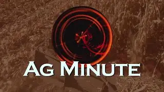 Ag Minute #915 Corn Maturity  (Air Date 9-2-18)