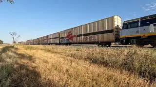 CSR001 & CF4431 Condobolin East NSW.  Wed 29th Jan 2025