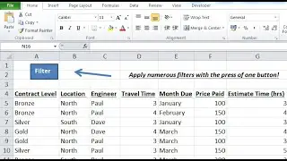 How to use a Macro to filter data within Microsoft Excel