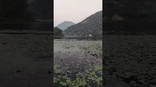 #Pardi_Dam #Paprokocha_Dam #Shorts #Purulia_Tour