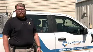 Become an Animal Services Officer.