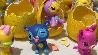 ASMR | unboxing mystery hatchimals surprise eggs| satisfying | kh&aacute;m ph&aacute; trứng hatchimals
