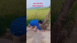 दम है तो हँसी रोककर दिखाओ #comedy#shortsfeed#funny #shorts #trending #viral #ytshorts #youtubeshorts