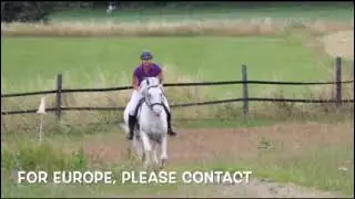 Pollux vom Soonwald, Knabstrupper Stallion
