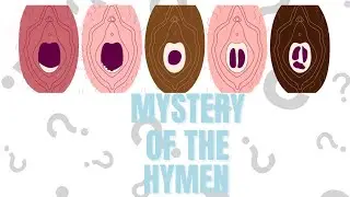 Mystery of the Hymen