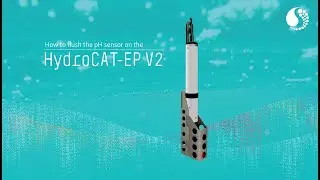 Flushing and Storing the HydroCAT-EP V2 pH Sensor