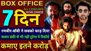 Animal Box office collection, Ranbir Kapoor, Bobby Deol, Animal 6th Day Collection worldwide, Animal