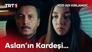 &ldquo;Aslan&rsquo;ın kardeşi benim!&rdquo; | Kod Adı Kırlangı&ccedil; 71. B&ouml;l&uuml;m @kodadikirlangic